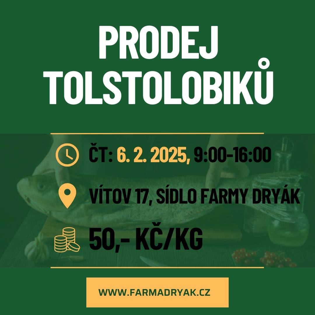 0c41e310fe860c4adff5c7feb502b2b2